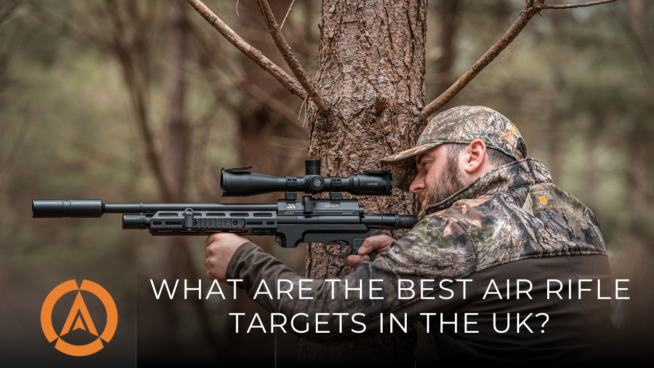 What are the Best Air Rifle Targets in the UK?